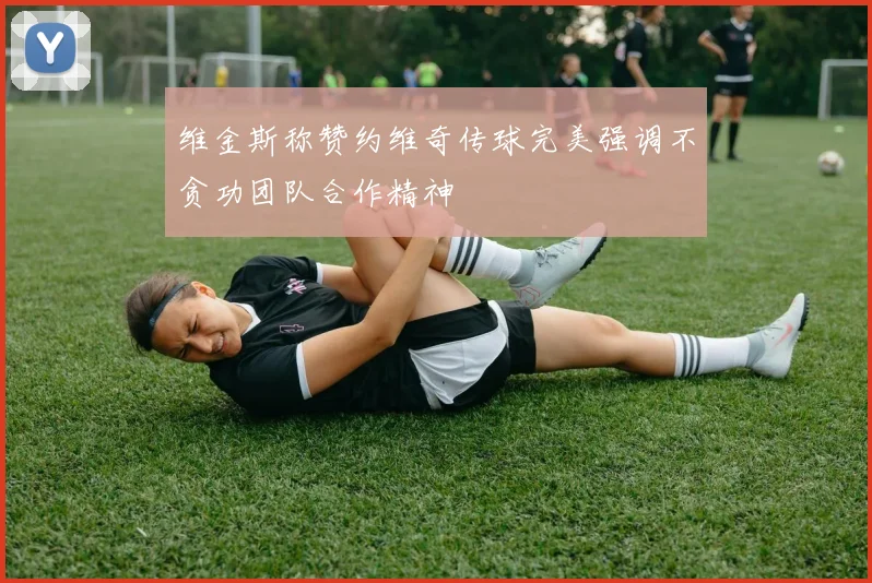 维金斯称赞约维奇传球完美强调不贪功团队合作精神