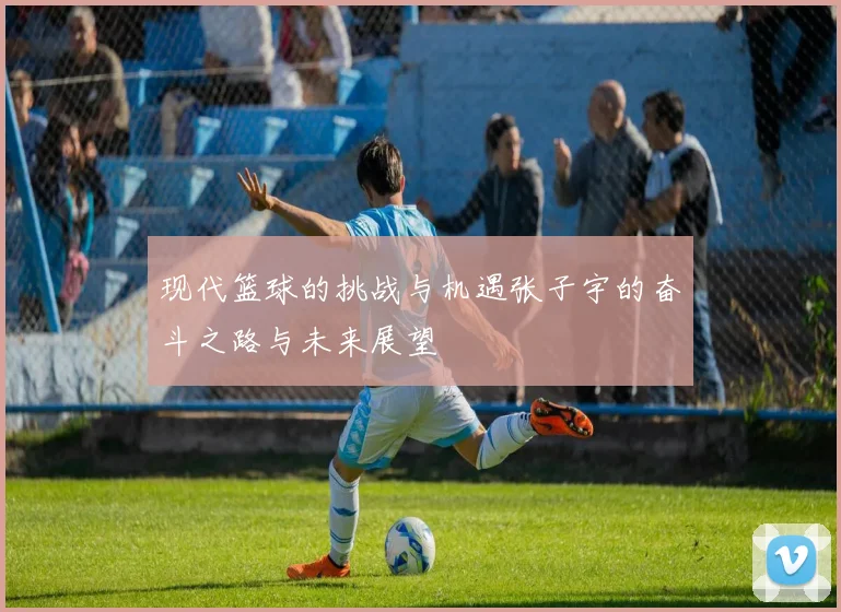 现代篮球的挑战与机遇张子宇的奋斗之路与未来展望