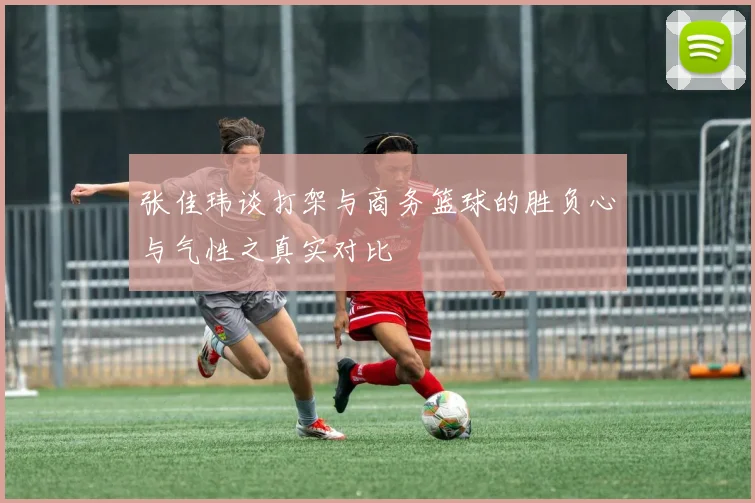 张佳玮谈打架与商务篮球的胜负心与气性之真实对比