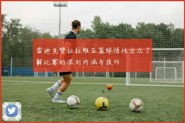 雷迪克赞拉拉维亚篮球悟性出众了解比赛的深刻内涵与技巧