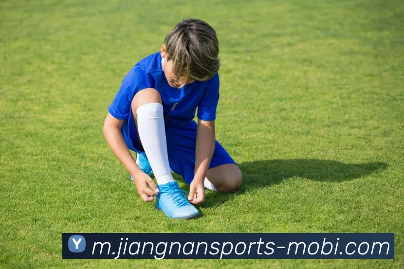 App Interface Preview